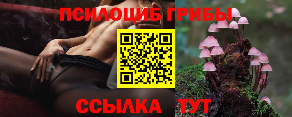 Псилоцибиновые грибы мухоморы  Псилоцибиновые грибы прущие грибы  Щёлково  Вход с VPN 